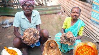 Village style elephant foot yam chicken curry | collecting & cooking farm fresh elephant foot yam |