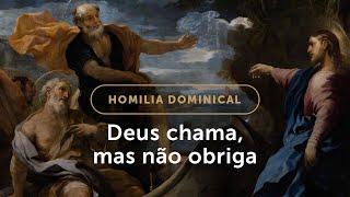 Homilia | Como cooperar com a ação de Deus? (3.º Domingo da Páscoa)