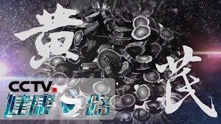 《健康之路》 平民补药你用对了吗（一）20200212 | CCTV科教