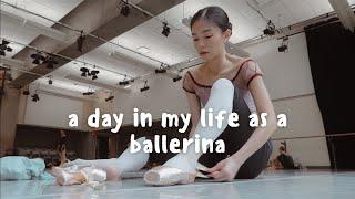 Ballerina Daily VLOG🩰 | 新舞季的上班日常芭蕾舞者的一日三餐 更衣室的新成員