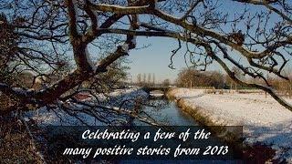 Positive Stories From 2013