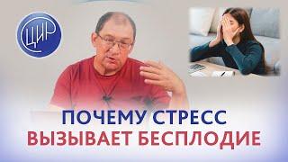 Бесплодие и стресс. Когда стресс становится причиной бесплодия. И.И.Гузов.