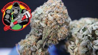 Grease Monkey Strain Review