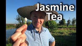 A Fujianese Afternoon Tea, Part 1: Jasmine Tea