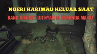 KANG JENGGOT UJI NYALI DI KERANDA M4Y4T