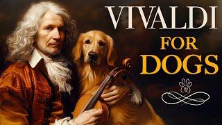 Vivaldi for Dogs - Classical Music for Dogs - Music for Dogs with Anxiety