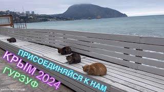 КРЫМ 2024 | ОБСТАНОВКА В ГУРЗУФЕ | 28 декабря ️️