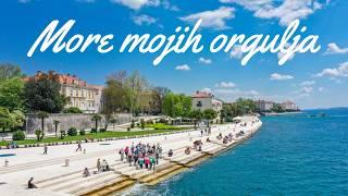 More mojih orgulja  | Klapa Sol | lyrics video