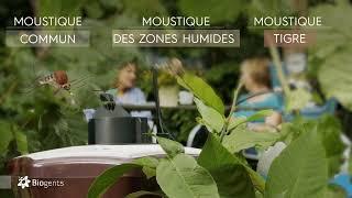 Piège à moustiques d'extérieur BG-Mosquitaire CO2 contre tous les moustiques