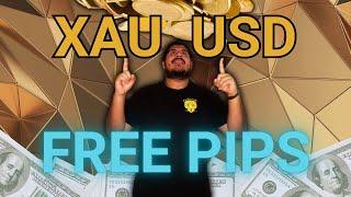 Live TRADES today!!! |  XAU/USD | 15 MIN GOLD CHART | FREE PIPS