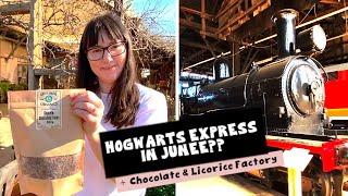 HOGWARTS EXPRESS in Junee + Delicious CHOCOLATE FACTORY! | Exploring Junee, Young and Jugiong NSW