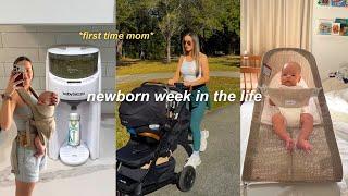 *8 WEEK UPDATE* ‍ witching hour, baby brezza review, getting my cycle, new wildbird carrier!