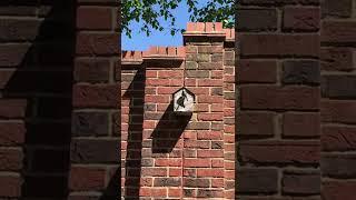 Sun’s out, tit’s out…love English summers!