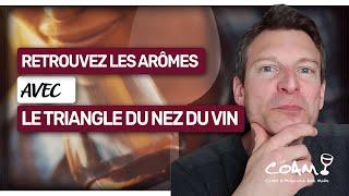 Apprenez le triangle du NEZ, et retrouvez enfin les ARÔMES du vin !