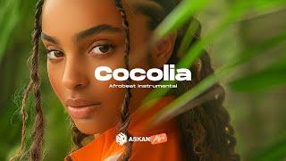 Dadju x Tayc type beat (Afro Guitar x Afro Beat instrumental) " COCOLIA "