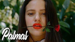 Latin Guitar Trap Beat 2022 | "Palmas" Spanish guitar type beat Instrumental - Latin Music