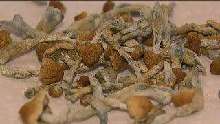 Micro-dosing magic mushrooms | A growing trend among San Diego moms