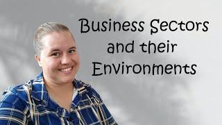 Business Sectors and their Environments | Grade 12 | Business Studies