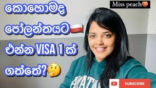 කොහොමද poland වලට job visa එකකට එන්නේ? Job/ poland/visa/how to apply#shorts#ytshorts #video#viral