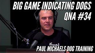 Big Game Indicating Dogs QnA #34