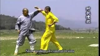 少林大洪拳法 Shaolin Dahong Boxing Actual combat technique