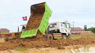 Bulldozer Clearing Land Strong Power Dump Truck Moving Heavy Soil Excellent Back Landfill Project