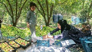 Resilient Mother and Her Children's Inspiring Journey to Self-Sufficiency