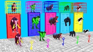 Choose The Right Mystery Cage And Door With Gorilla Cow Mammoth Hippo Dinosaur Wild Animal Games