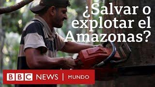 ¿Explotar la selva amazónica o salvarla de la deforestación?