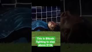 #cryptomeme || Bitcoin Fighting To Stay Above $16k || #shorts #shortvideo