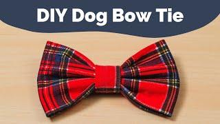 DIY Doggy Bow Tie | The Canine Story Tutorial