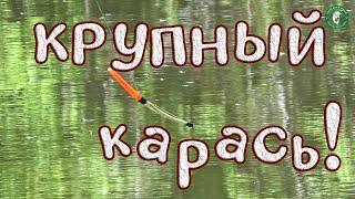 РЫБАК ПОДЕЛИЛСЯ ХИТРОЙ НАСАДКОЙ И Я ПОЙМАЛ ОГРОМНЫХ КАРАСЕЙ! ЩУКА, ЛЕЩИК, ОКУНЬ! РЫБАЛКА НА УРАЛЕ!