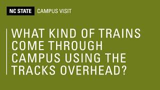 What Kind of Trains Come Through Campus Over The Free Expression Tunnel?