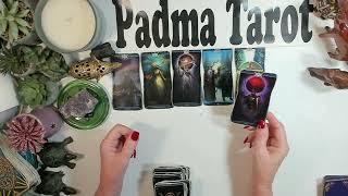 SAGITTARIUS ️ YOU WILL THRIVE!2025 TAROT READING 