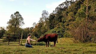 Daily life at Kind Fibers Sanctuary