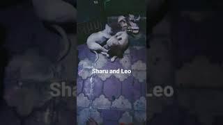 Ahern and Leo