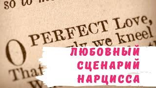 Любовный сценарий нарцисса | Этапы отношений с нарциссом