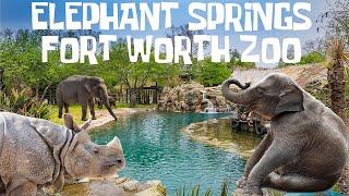 Uncaged Zoo Tours: Elephant Springs | Fort Worth Zoo ft. Baby Elephant #uncagedzootours