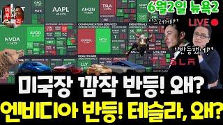미국주식시황/오늘 왜 반등했나? 테슬라 하락! 엔비디아 상승! 왜? 구글 애플 아마존 메타 마이크로소프트 팔란티어 아이온큐 리게티 브로드컴 SMCI UNH  $tsla #tesla