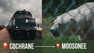 Polar Bear Express | Cochrane to Moosonee