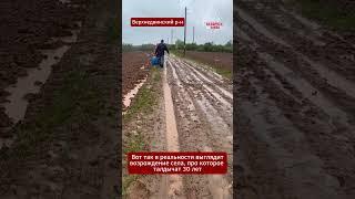 Жители деревни под #Верхнедвинск никогда в жизни так и не видели нормальной #дороги #беларусь #грязь