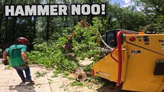 $4000 Tree Job Going Down! Chipper Working Hard And Hammers Expensive 30k Dump Trailer Hit A Tree