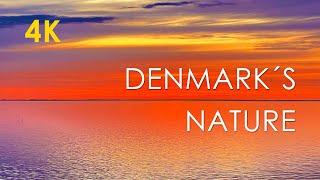 DENMARK´S FANTASTIC EXCLUSIVE NATURE IN 4K VIDEO - INSPIRING RELAXATION PIANO MUSIC