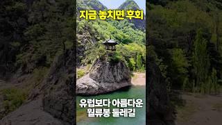 지금 놓치면 후회할 유럽보다 아름다운 월류봉 둘레길 #shorts #트레킹 #월류봉 #둘레길