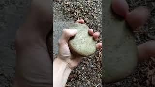 Attempt crush stone with hand day 40 #shorts #sports #workout #calisthenics #stone