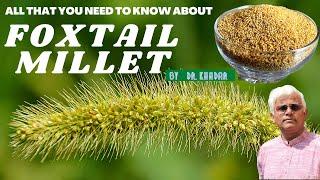 All that you need to know about FOXTAIL MILLET | Dr. Khadar