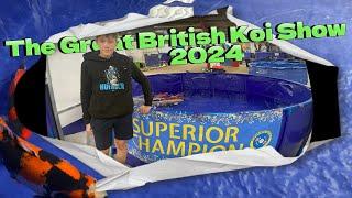 Dive into The Great British Koi Show: Walk around Tour #koi #fish #koipond