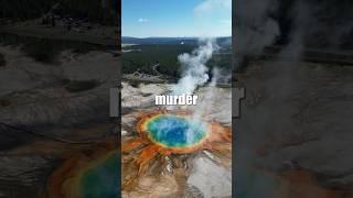 Why Murder is Legal in Yellowstone