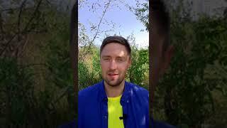 Классический рецепт супа - харчо