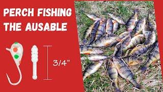 Perch Fishing The AuSable River